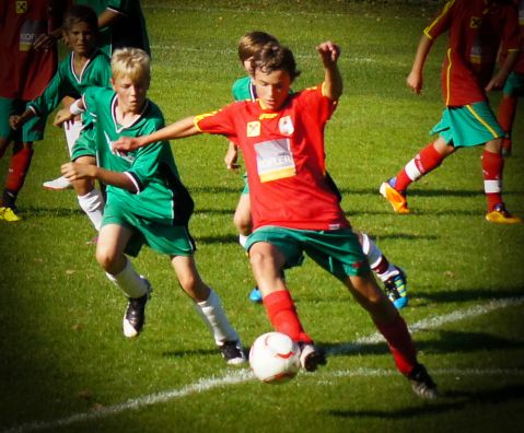 U 14 - Stall_s